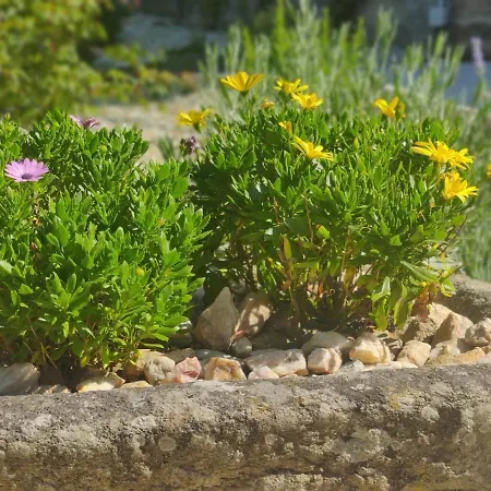 Casa Da Ramona * Ribadavia