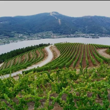 Casa Da Ramona Ribadavia