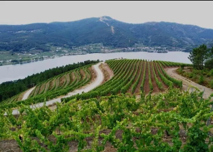 Casa Da Ramona 里瓦达维亚